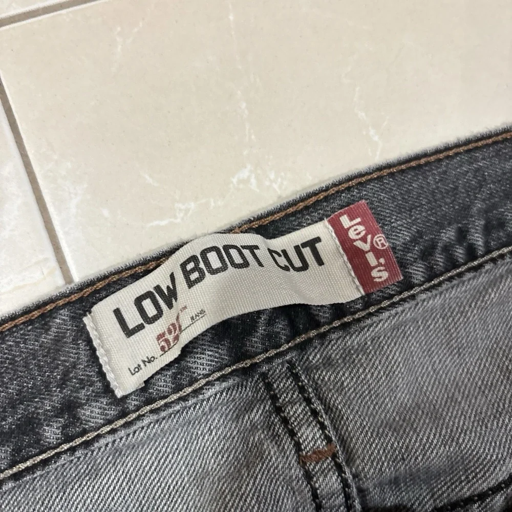 Levis levis 527